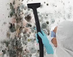 Biohazard Mold Removal in Roanoke, IN